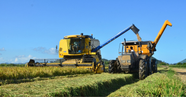 Notícia - SC fecha acordo internacional para exportar 100 mil toneladas de arroz após crise