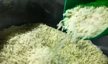 Notícia - [Áudio] Supersafra e isenção do ICMS reduzirão preço do arroz em SC