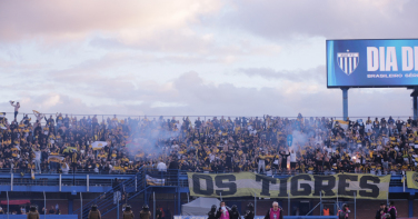 Notícia - Avaí x Criciúma: escalações, arbitragem e onde assistir ao vivo pela Série B
