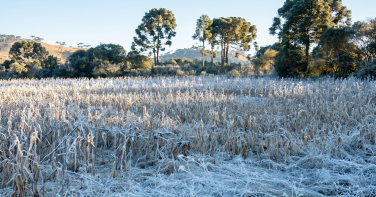 Notícia - Frio histórico: região de SC terá geada em maio pela primeira vez desde 2008