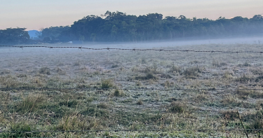 Notícia - Temperaturas perto de zero mantêm frio intenso no Sul de SC