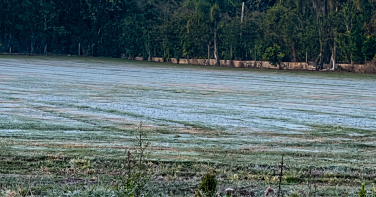 Notícia - Frente fria derruba temperaturas e geada pode voltar a SC
