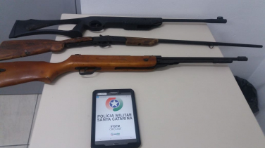 Notícia - Com três armas, homem é detido por violência doméstica