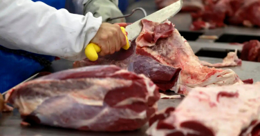 Notícia - Europa barra carne brasileira e impõe restrição a mel, peixes e tripas