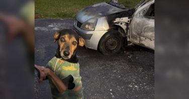 Notícia - Homem ateia fogo em carro com cão dentro e foge em Criciúma