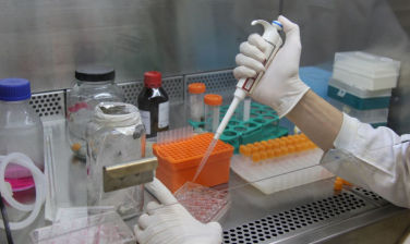 Notícia - Pesquisadores desenvolvem testes rápidos para diagnóstico de Covid-19