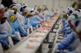 Notícia - [Áudio] Santa Catarina intensifica controle de frigoríficos após embargo da China