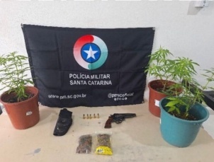 Notícia - Homem é preso após flagra de plantação de maconha em residência 