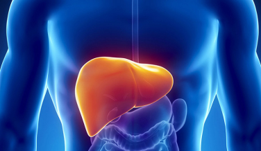 Notícia - Nova Veneza realiza ações para marcar o Dia Mundial de Luta contra Hepatites Virais