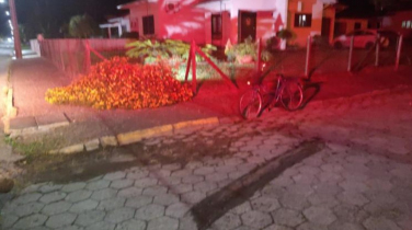 Notícia - Turvo: Idosa morre após ser atropelada por caminhão de lixo