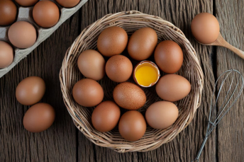 Notícia - País tem recorde na produção de ovos, abate de bovinos, frango e porco