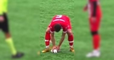 Notícia - Capitão vira herói ao salvar vida de gaivota atingida por bolada; veja o vídeo