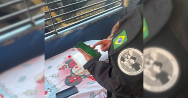 Notícia - Operação da PF mira suspeito de abuso infantojuvenil em SC e RO