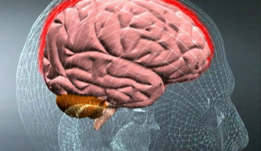 Notícia - Caso de meningite bacteriana é confirmado em Içara