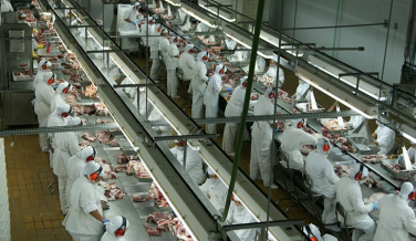 Notícia - Santa Catarina comemora abertura do mercado indiano para a carne suína