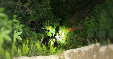 Notícia - Mulher desaparecida é encontrada morta em Urussanga