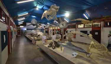 Notícia - Espaço para ideias e aprendizados no Museu da Unesc