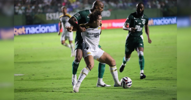 Notícia - Liderança em jogo: Criciúma busca recuperação na Série B contra o invicto Goiás