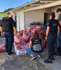 Notícia - Polícia Civil apreende três toneladas de carne em abatedouro clandestino de Braço do Norte