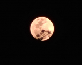 Notícia - Super lua fria: saiba onde acompanhar o fenômeno raro em Criciúma