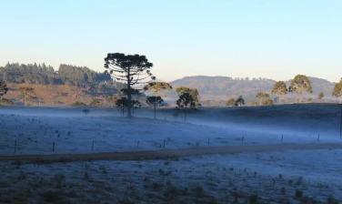 Notícia - Massa de ar frio provoca queda de temperatura e geada no Sul do país