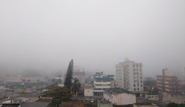 Notícia - Sábado começa com nevoeiro, mas sol deve aparecer