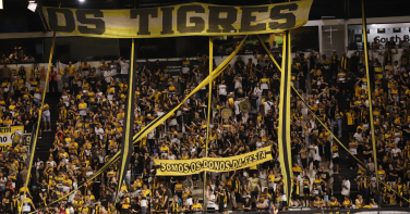 Notícia - Criciúma abre venda de ingressos para o único jogo no Majestoso em maio