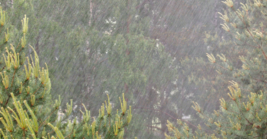 Notícia - El Niño: fenômeno se antecipa e muda inverno em SC
