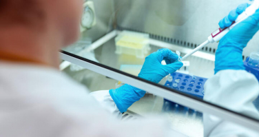 Notícia - Santa Catarina registra mais 446 casos de Covid-19