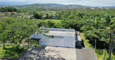 Notícia - Pet Eterno transforma despedida de animais de estimação em homenagem repleta de afeto e acolhimento