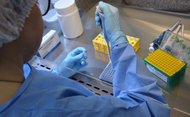 Fapesc destina R$ 500 mil para novas pesquisas