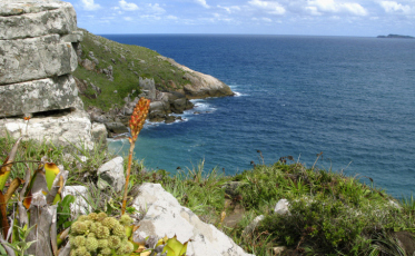 (Áudio) Entenda a situação da APA da Baleia Franca; Amurel se mobiliza para resolver impasse