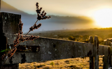 Previsão da Defesa Civil aponta chuva dentro da média e veranicos no próximo trimestre