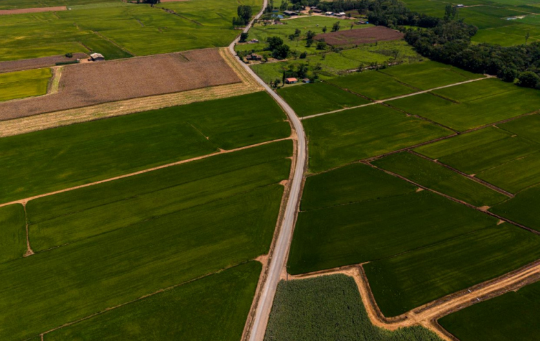 Rota dos grãos: rodovia histórica entre Nova Veneza e Morro Grande passa de 50% das obras
