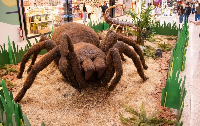 Insetos gigantes invadem o Nações Shopping em exposição gratuita para visitantes