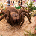 Insetos gigantes invadem o Nações Shopping em exposição gratuita para visitantes