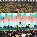 Ingressos à venda para amistoso de vôlei entre Brasil e Chile em Criciúma