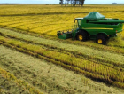 Indústria de SC pede freio em importações após excesso de arroz no mercado