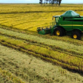 Indústria de SC pede freio em importações após excesso de arroz no mercado
