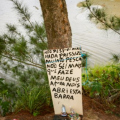 Pescadores alertam para risco de alagamentos com avanço do El Niño em cidade de SC