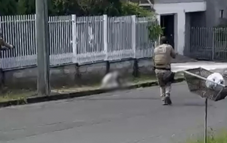 “Legítima defesa de terceiros”: comandante explica ação contra agressor em Criciúma; VÍDEO