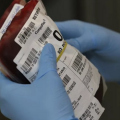 Hemosc está em estado de alerta após aumento de 6% na demanda