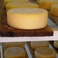Indústria de laticínios cresce em Santa Catarina e supera marca de 1,1 mil empresas