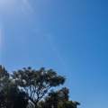 Sol, vento forte e mar agitado marcam o fim de semana no Sul de SC; frio aumenta na segunda