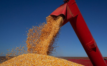 IBGE prevê safra de 253,2 milhões para o próximo ano