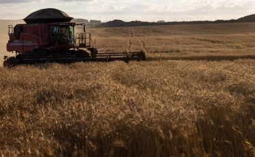 Caixa disponibiliza R$ 6,5 bilhões para contratação de crédito rural