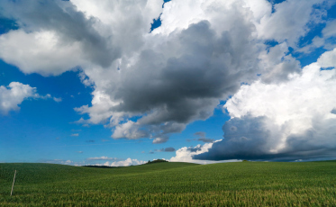 IMA e Udesc definem parâmetros para ampliar preservação do solo catarinense