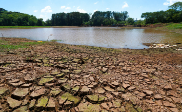 Estado investe R$ 76,6 milhões para amenizar impactos da estiagem
