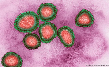 Mutações do vírus dificulta projeções sobre o impacto da Covid-19
