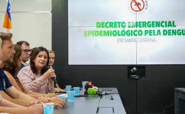 Dengue: Governo teme saturação do SUS